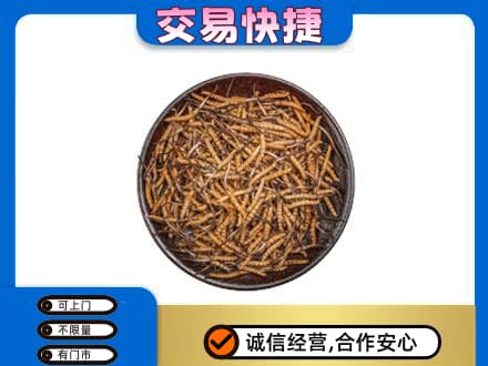义乌市高价回收散虫草